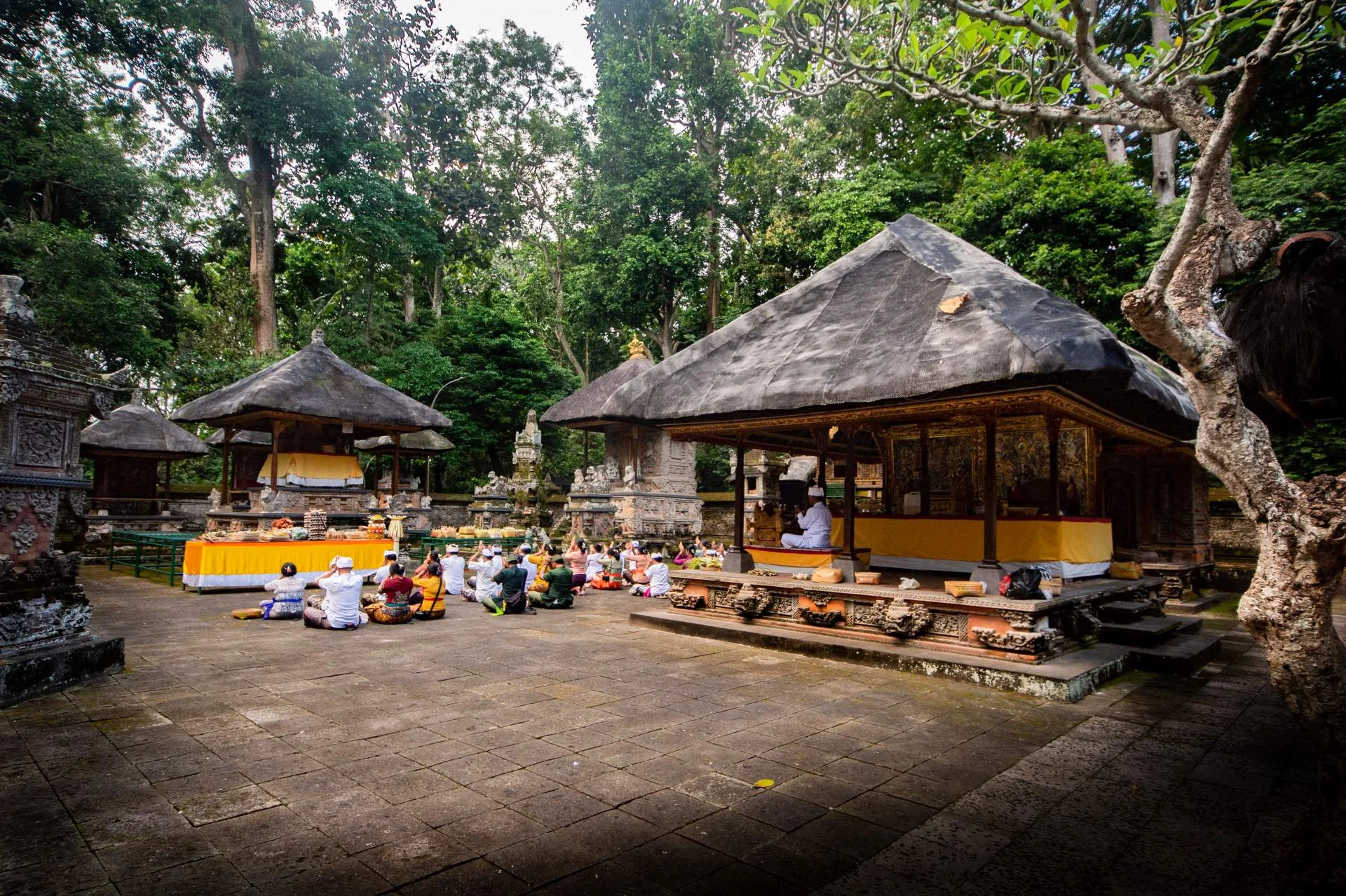Sacred Monkey Forest Sanctuary - Ubud Temple