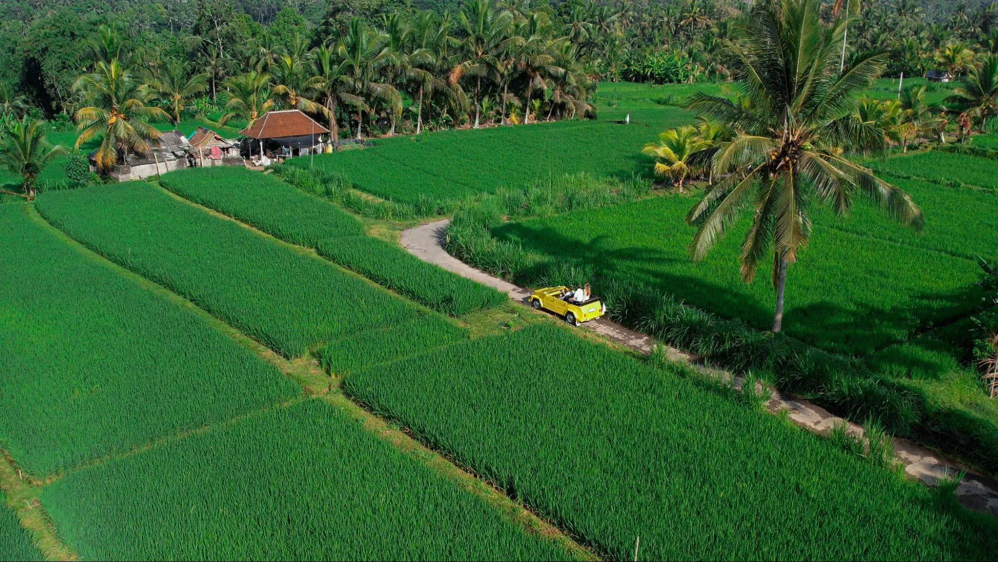 best area in ubud